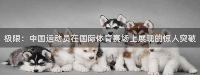 凯发官网下载娱乐：极限：中国运动员在国际体育赛场上展现的惊人