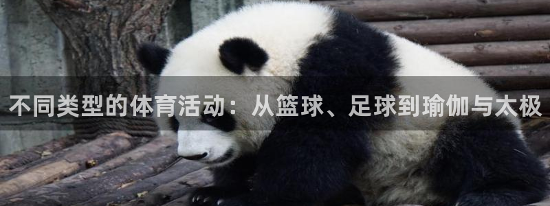 凯发官网下载平台：不同类型的体育活动：从篮球、足球到