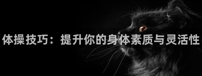 凯发官网下载平台假的吗是真的吗：体操技巧：提升你的身