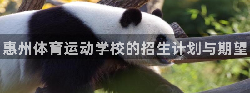 凯发官方正版app集团E.ON：惠州体育运动学校的招