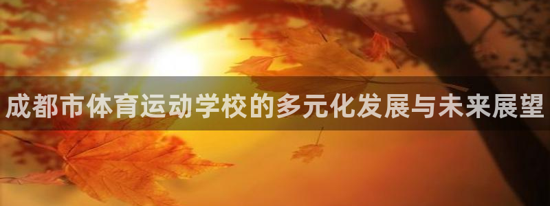 凯发官方正版app新能源：成都市体育运动学校的多元化发展与未