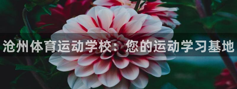 凯发官网下载平台注册流程图：沧州体育运动学校：您的运动学习基