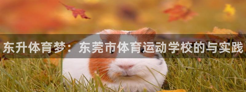 凯发官方正版app开户：东升体育梦：东莞市体育运动学