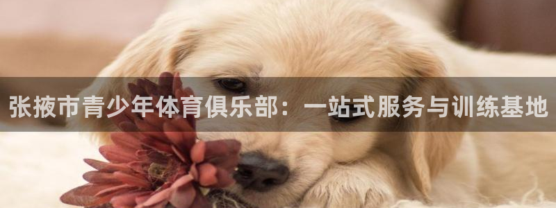 凯发官网下载注册：张掖市青少年体育俱乐部：一站式服务与训练基
