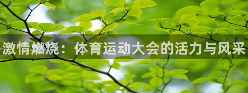 凯发官方正版app娱乐首页官网下载：激情燃烧：体育运动大会的