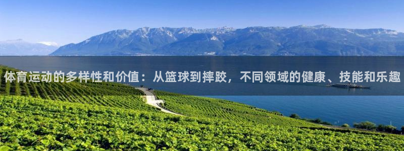 凯发官方正版app娱乐代理怎么样：体育运动的多样性和
