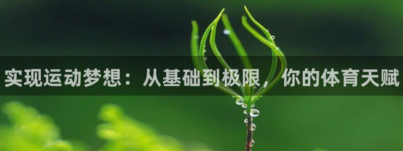 凯发官网下载招商电话：实现运动梦想：从基础到极限，你