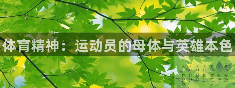 凯发官网下载招商电话是多少啊：体育精神：运动员的母体