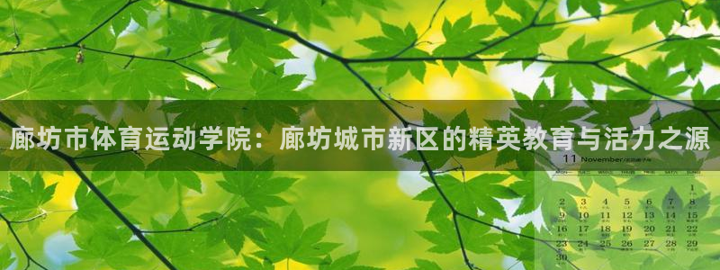 凯发官网下载平台注册流程图：廊坊市体育运动学院：廊坊
