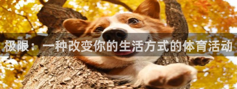 凯发官网下载软件