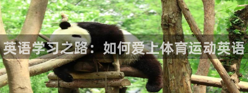 凯发官方正版app娱乐40996：英语学习之路：如何爱上体育