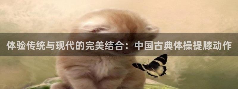 凯发官网下载招商电话号码：体验传统与现代的完美结合：中国古典