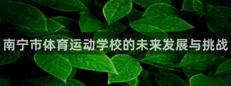 凯发官方正版app科技：南宁市体育运动学校的未来发展与挑战