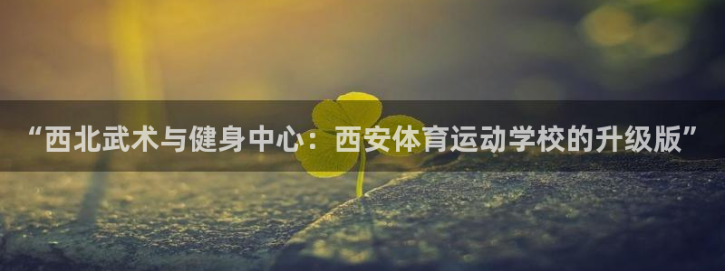凯发官网下载平台注册流程视频：“西北武术与健身中心：西安体育