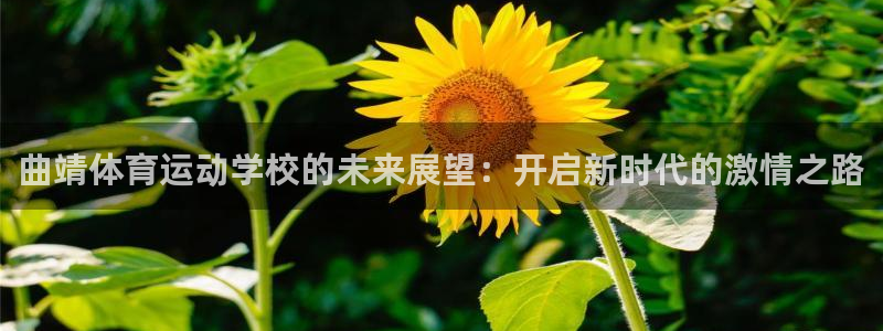 凯发官网下载平台：曲靖体育运动学校的未来展望：开启新时代的激