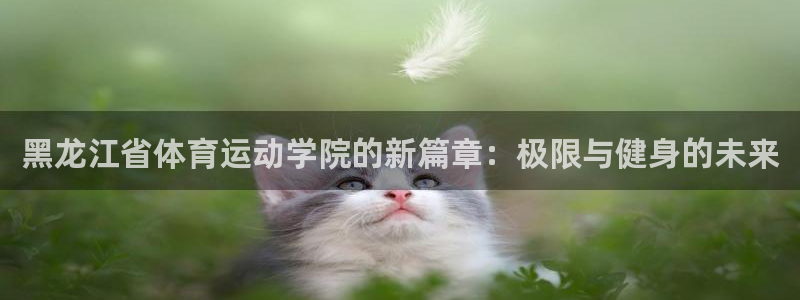 凯发官网下载招商：黑龙江省体育运动学院的新篇章：极限与健身的