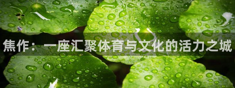 凯发官网下载平台注册要钱吗安全吗：焦作：一座汇聚体育