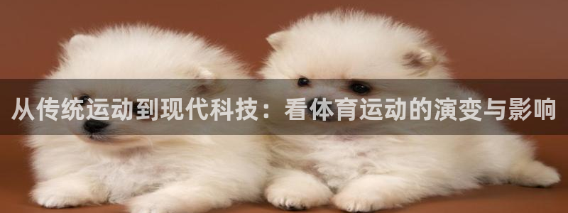 凯发官网下载招商电话号码：从传统运动到现代科技：看体育运动的