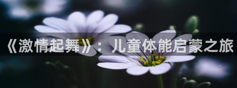 凯发官方正版app科技：《激情起舞》：儿童体能启蒙之旅