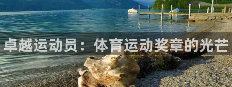 凯发官方正版app官方：卓越运动员：体育运动奖章的光