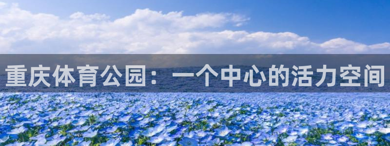 凯发官网下载注册：重庆体育公园：一个中心的活力空间