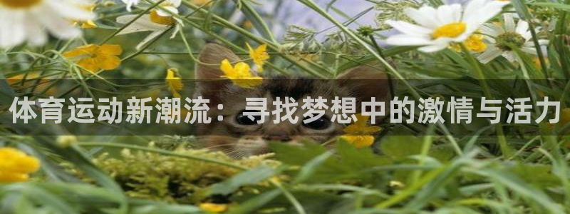凯发官网下载注册：体育运动新潮流：寻找梦想中的激情与活力