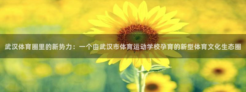 凯发官网下载招商电话号码