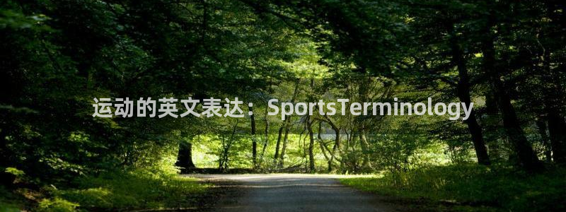 海南凯发官网下载：运动的英文表达：SportsTermino