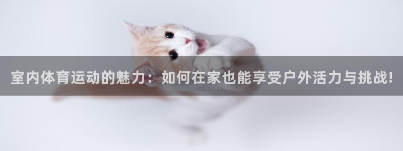 海南凯发官网下载：室内体育运动的魅力：如何在家也能享受户外活